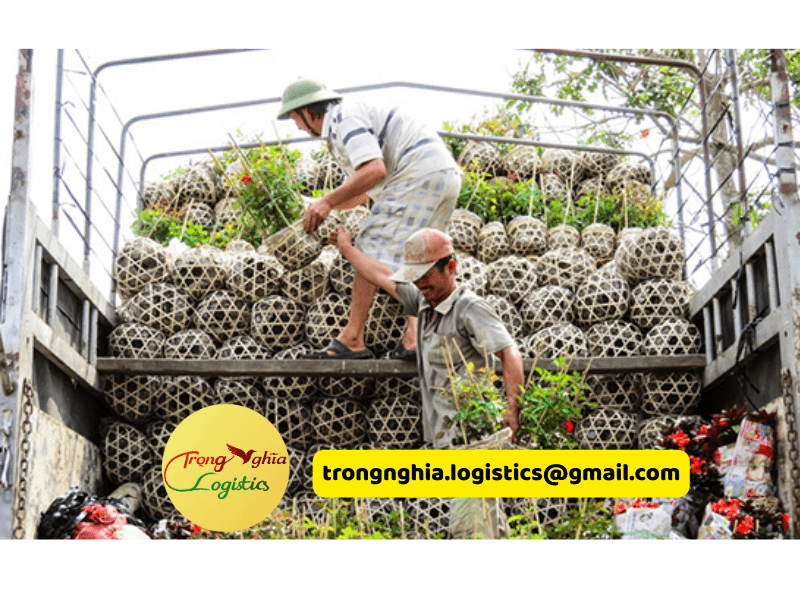 thuê xe tải chở hàng Tết theo chuyến