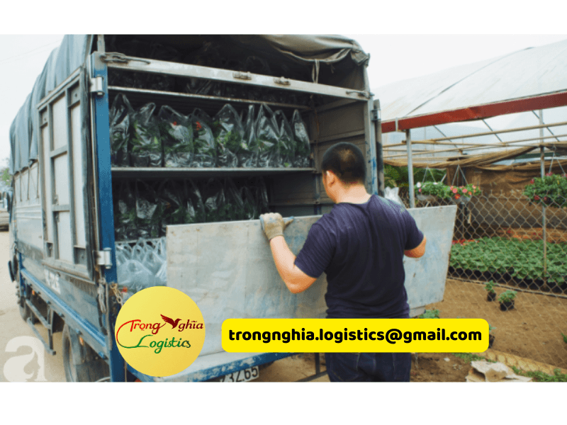 thuê xe tải chở hàng Tết theo chuyến