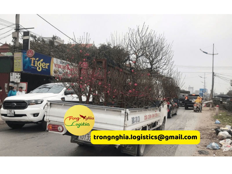 thuê xe tải chở hàng Tết theo chuyến